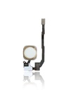 Bouton Home pour iPhone 5S - SE - Or